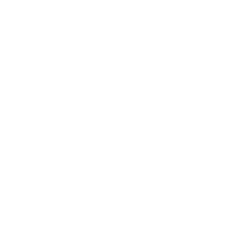 Bursa Technical University logosu